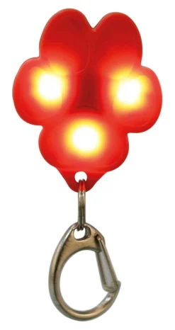 Flasher USB, 3,5 × 4,3 cm, divers
