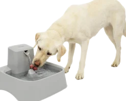 Fontaine DrinkWell 7.5 litres