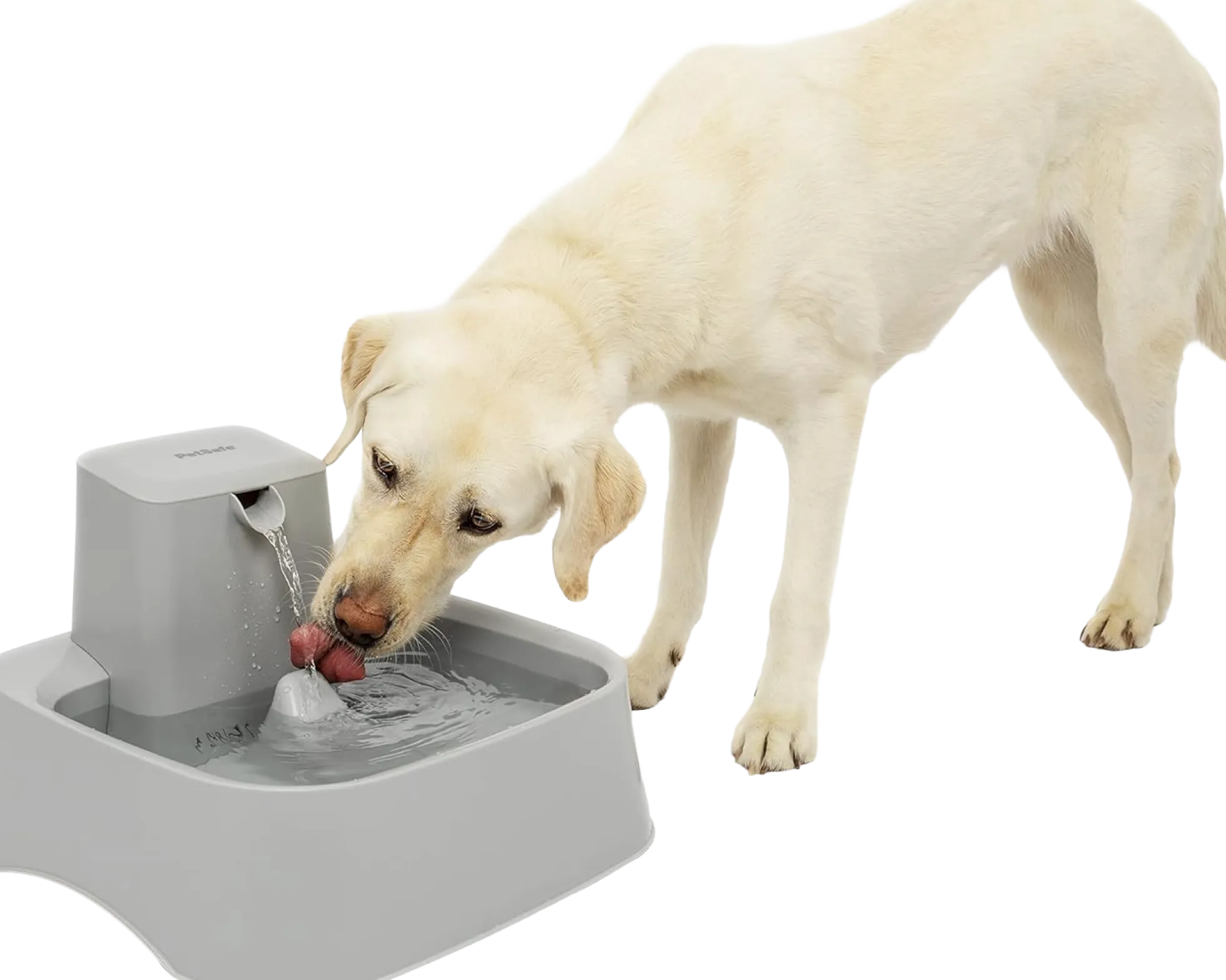 Fontaine DrinkWell 7.5 litres