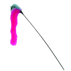 Fouet à plumes