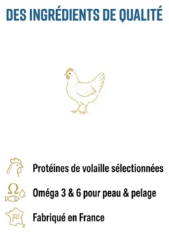 France Croquettes GOLD Adult 28/16