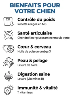 France Croquettes GOLD SUPER LIGHT