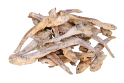 Friandise chat - poisson séché