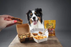 Friandises Fast Food Nuggets au Poulet, 100 g
