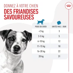 Friandises Royal Canin Training Treats