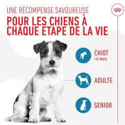 Friandises Royal Canin Training Treats