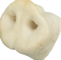 Friandise vrac pour chien Museau de porc séché