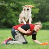 Frisbee Activity Disc