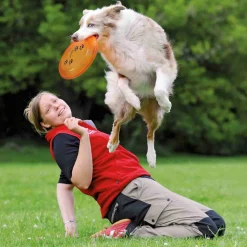Frisbee Activity Disc