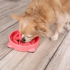Gamelle SLOW FEEDER pour chiot 300 ml