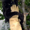 Gants Animalys Pro Morsure 58 cm - Femme