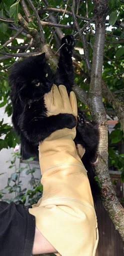 Gants Animalys Pro Morsure 58 cm - Homme