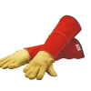 Gants long de manipulation chat et petit chien- Kevlar - pour homme