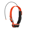 Garmin collier T20F