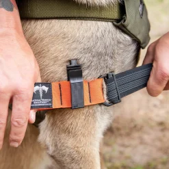Garot cyno K9 Tourniquet