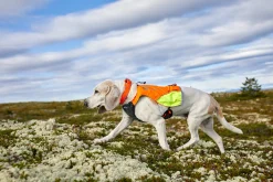 Gilet de chasse PROTECTOR VEST - NON-STOP Dogwear - Taille XL