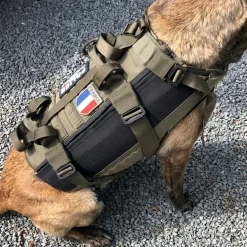 Gilet pare-balles pour chien + pare couteau + système de portage, Vert, L