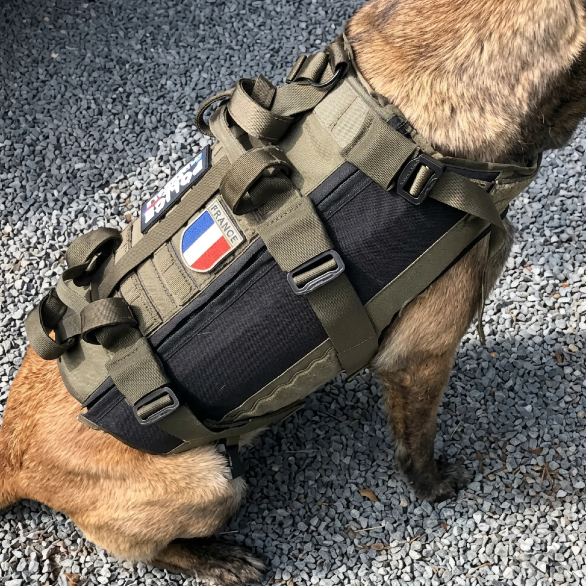 Gilet pare-balles pour chien + pare couteau + système de portage, Vert, L