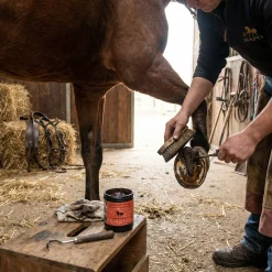Goudron de Norvège en pâte pour coussinet