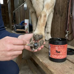 Goudron de Norvège en pâte pour coussinet
