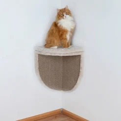Griffoir mural , plateau pour angle