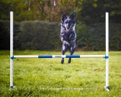 Haie entrainement - Agility K9 Sport