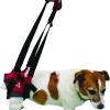 Handy Canis Pattes Arrières - XS