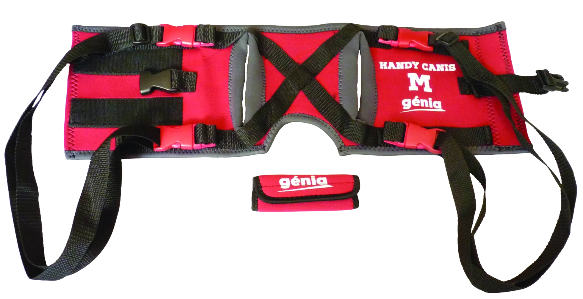 Handy Canis Pattes Arrières - XS