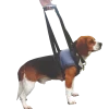 Handy Canis Pattes Avant - S