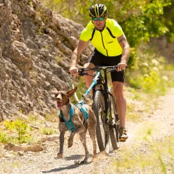 Harnais CANICROSS I-DOG ALM - Phoenix XS