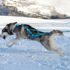 Harnais CANICROSS I-DOG ALM - Phoenix XL