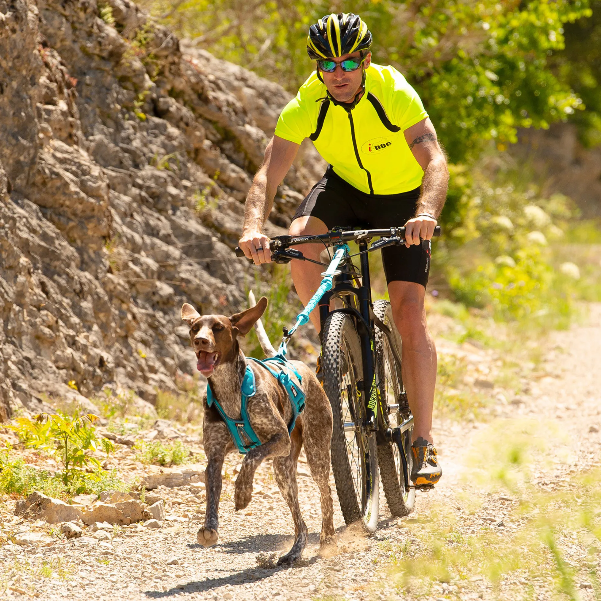 Harnais CANICROSS I-DOG ALM - Phoenix L