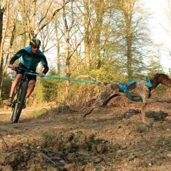 Harnais CANICROSS I-DOG ALM - Phoenix L