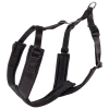 Harnais Canicross, taille 2, noir