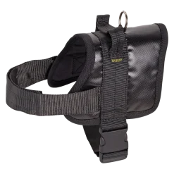 Harnais de Identification / motivation Luxe Cordura (avec poignée) - noir