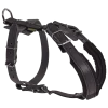 Harnais de motivation en cuir, taille 3