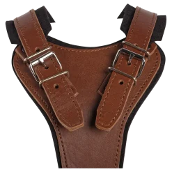 Harnais de motivation Luxe en cuiir, taille 2, marron