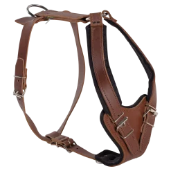 Harnais de motivation Luxe en cuiir, taille 2, marron