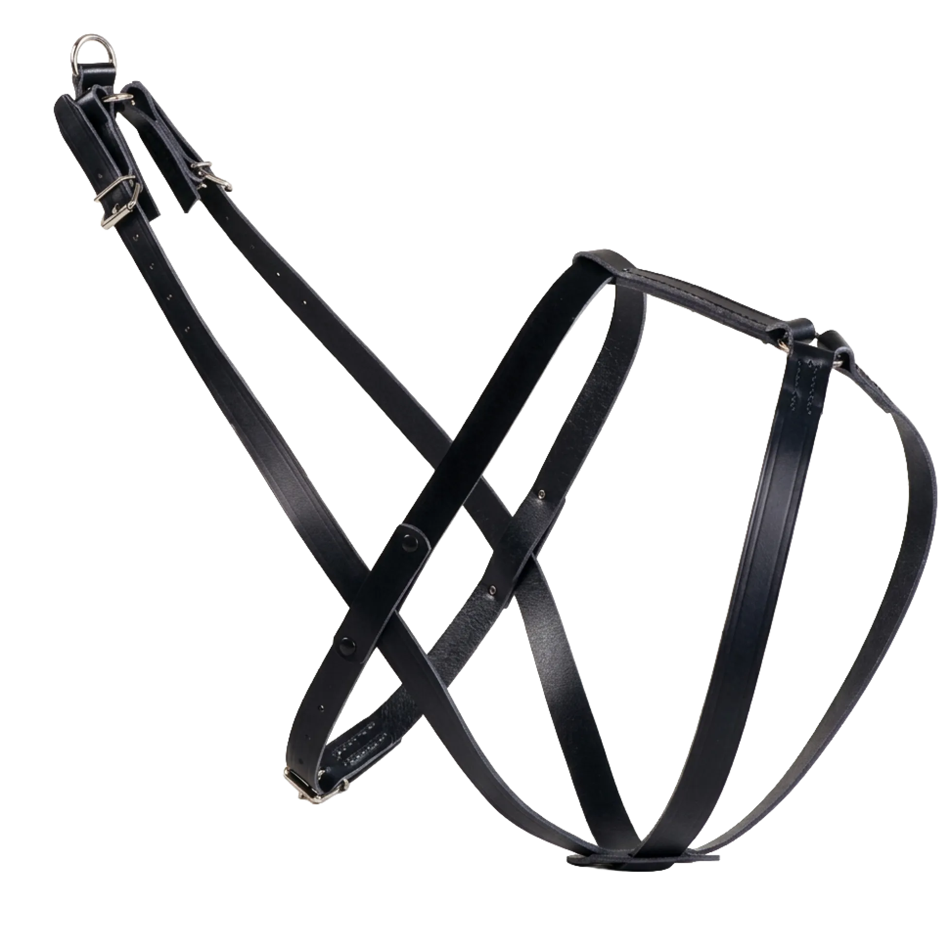 Harnais de pistage Suisse modèle "Fatio"