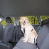 Harnais de sécurité auto L