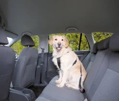 Harnais de sécurité auto M