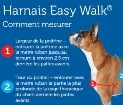 Harnais éducation Easy Walk, L noir