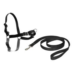 Harnais éducation Easy Walk, L noir