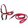 Harnais éducation Easy Walk, L rouge