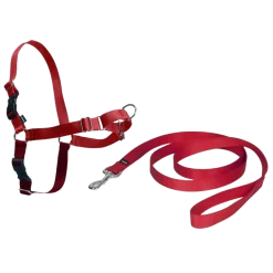 Harnais éducation Easy Walk, L rouge