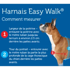Harnais éducation Easy Walk, L rouge