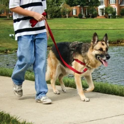 Harnais éducation Easy Walk, XL rouge