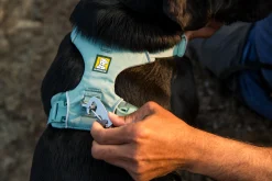 Harnais Front Range Ruffwear River Rock Green, Small