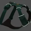 Harnais Front Range Ruffwear River Rock Green, Medium