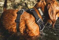 Harnais Front Range Ruffwear Moonlight Mountains, XSmall